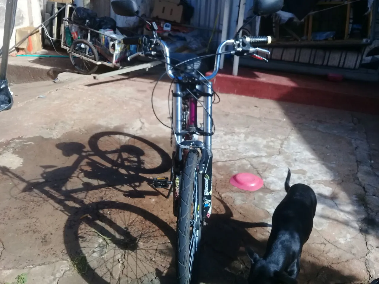 Bike motorizada