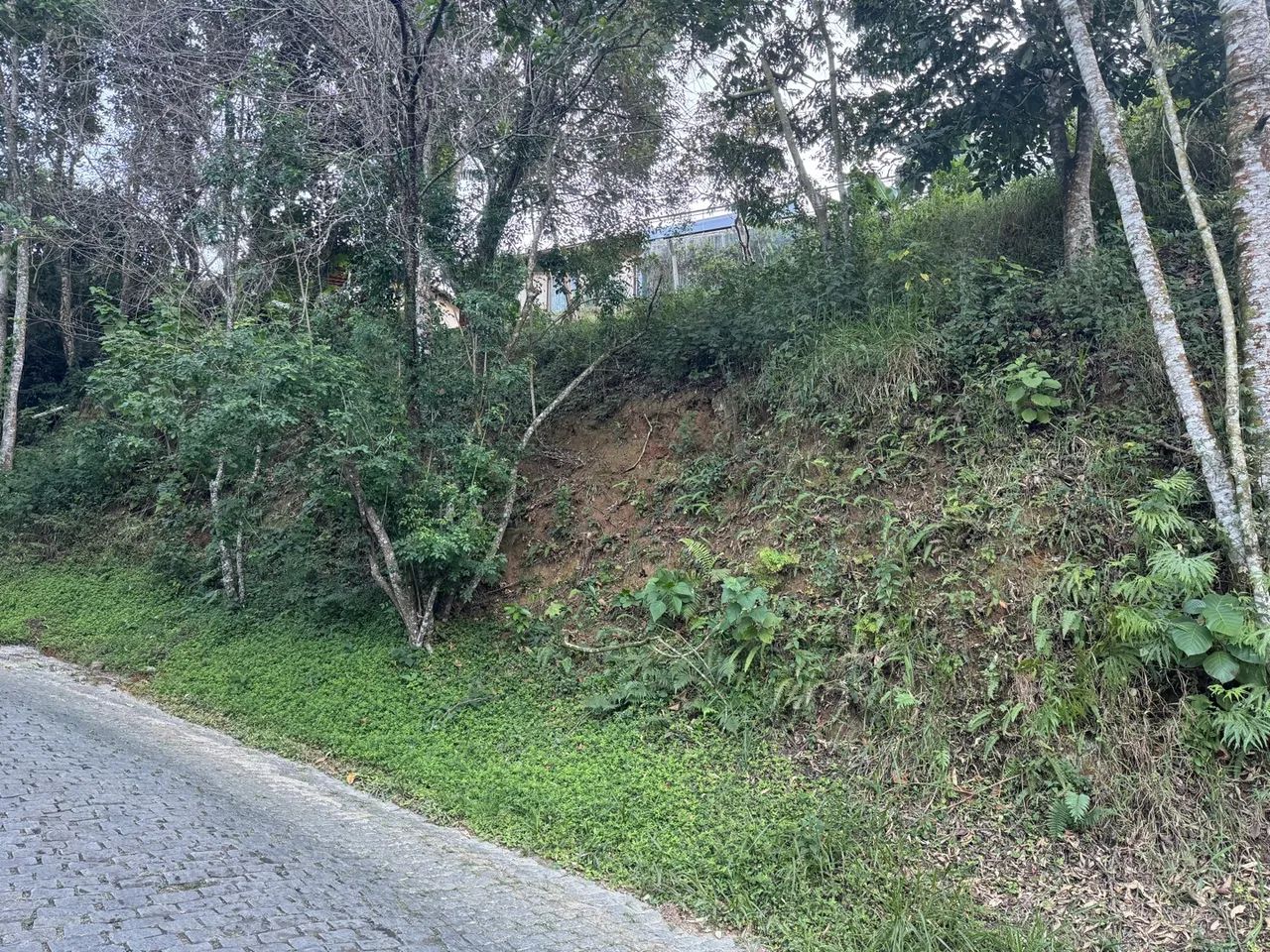 Maravilhoso terreno Pedra do Imperador - Foto 4