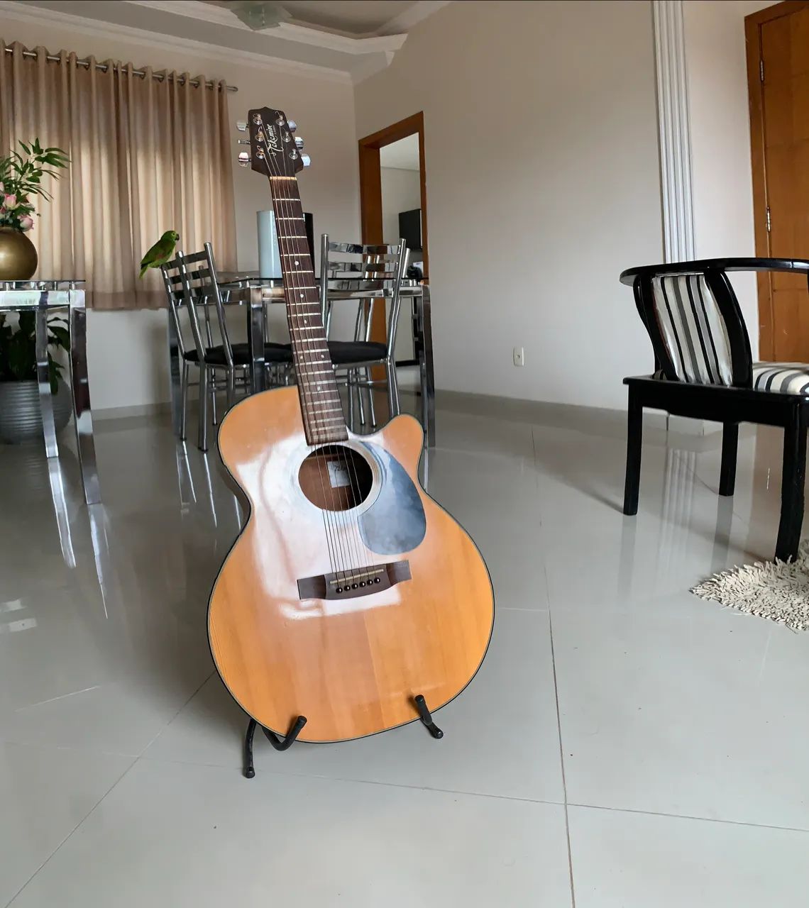 Takamine EG220c