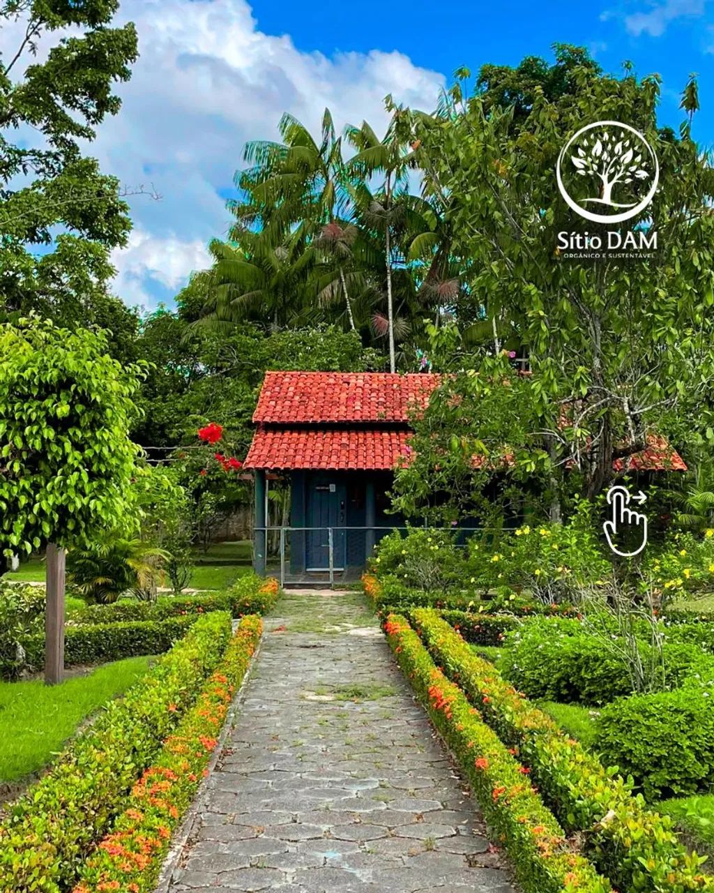 Vendo Excelente Sítio em Benevides - Foto 13