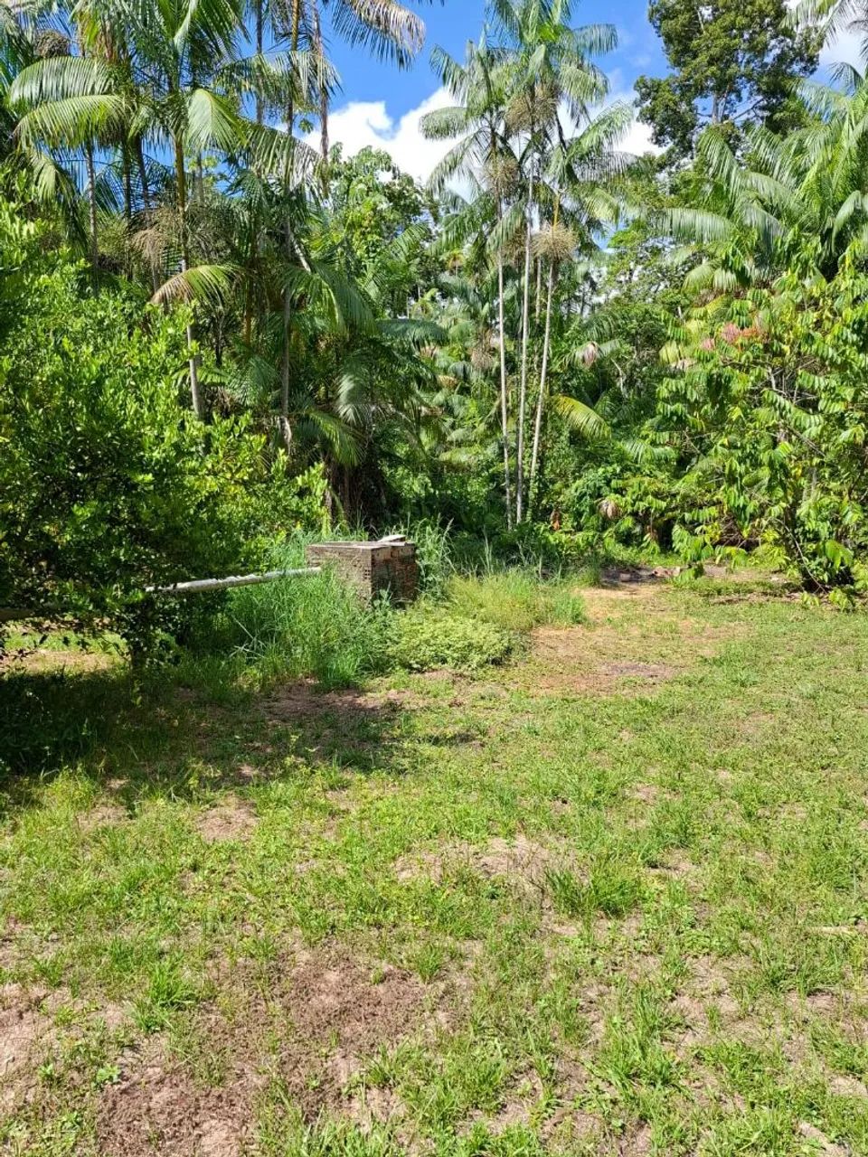 Terrenos a partir de 35mil no matapi mirim - Foto 2