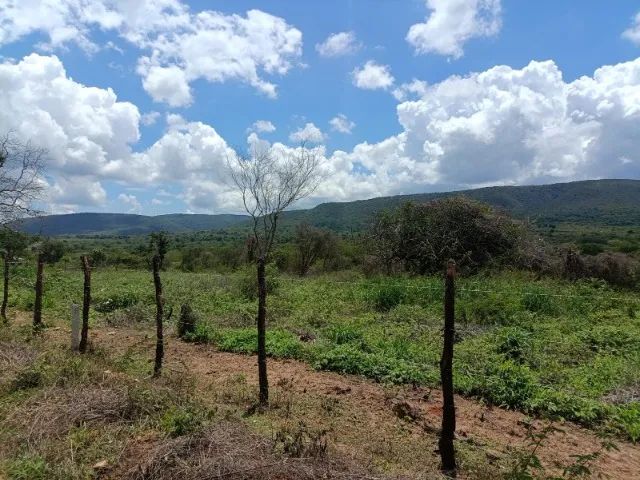 Excelentes Terrenos Bahia  - Foto 3