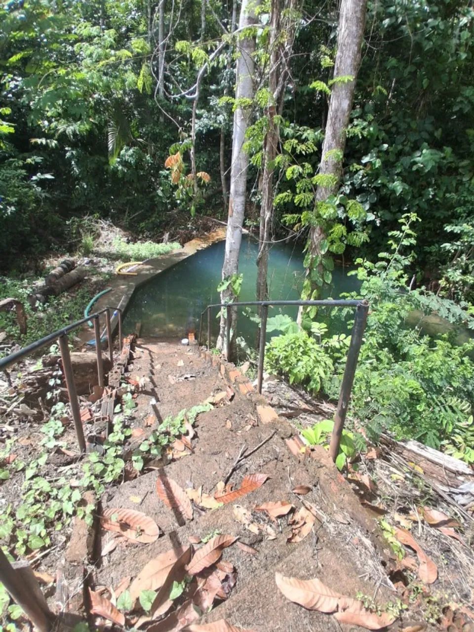 Chácara medindo 5.000 m² - Foto 5