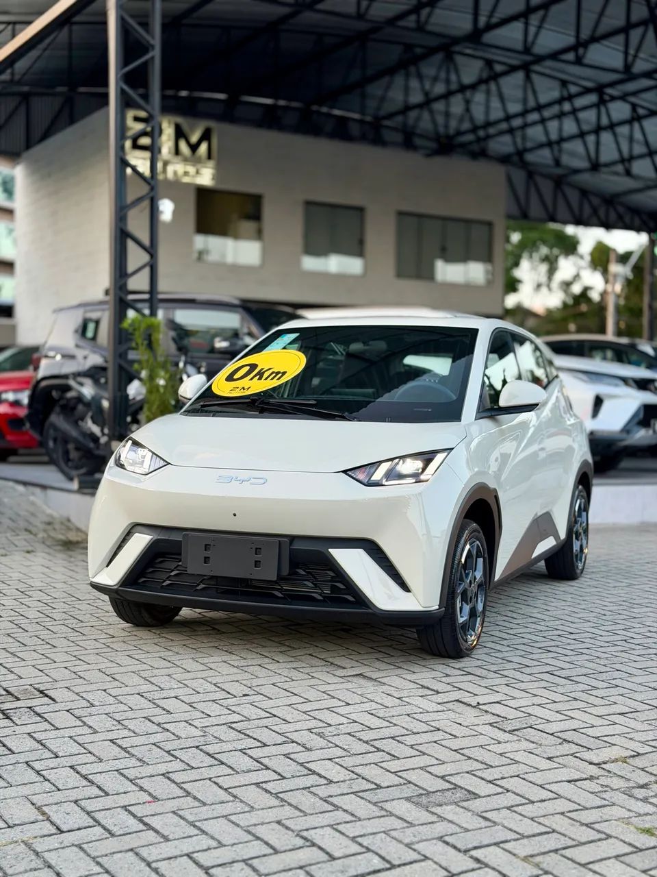 BYD Dolphin Mini (Elétrico) 2027