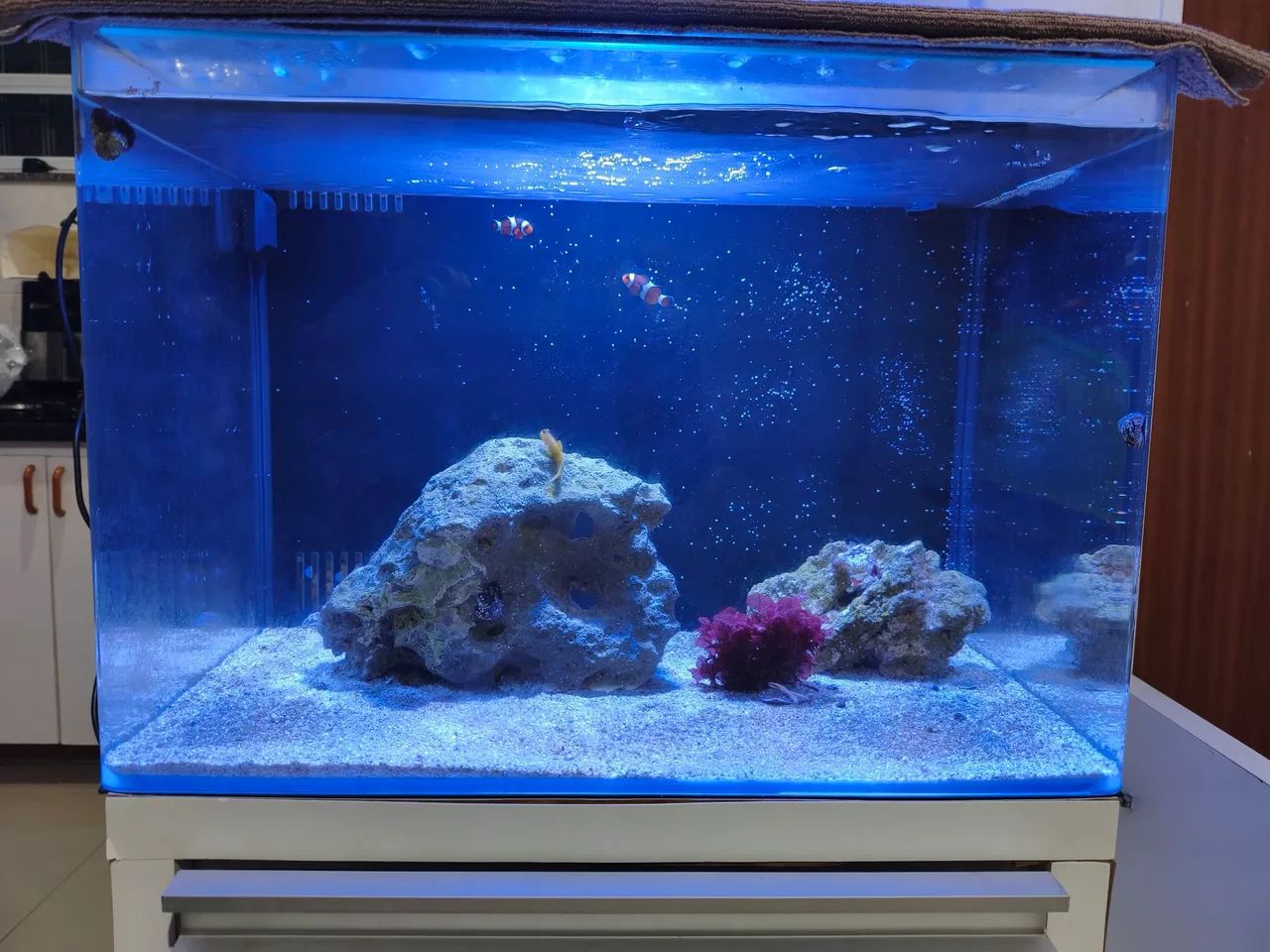 Aquário 72L ocean Tech