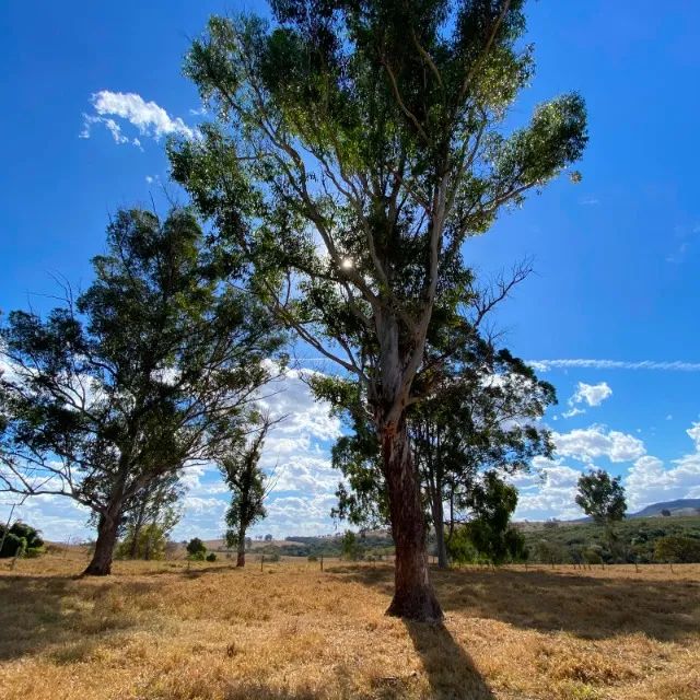 TERRENO 2 HA ESMERALDAS/PARÁ DE MINAS - Foto 3