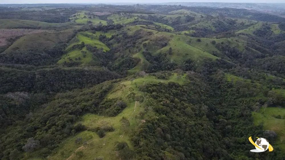 FAZENDA COM 273HEC PRA GADO, MONTADA