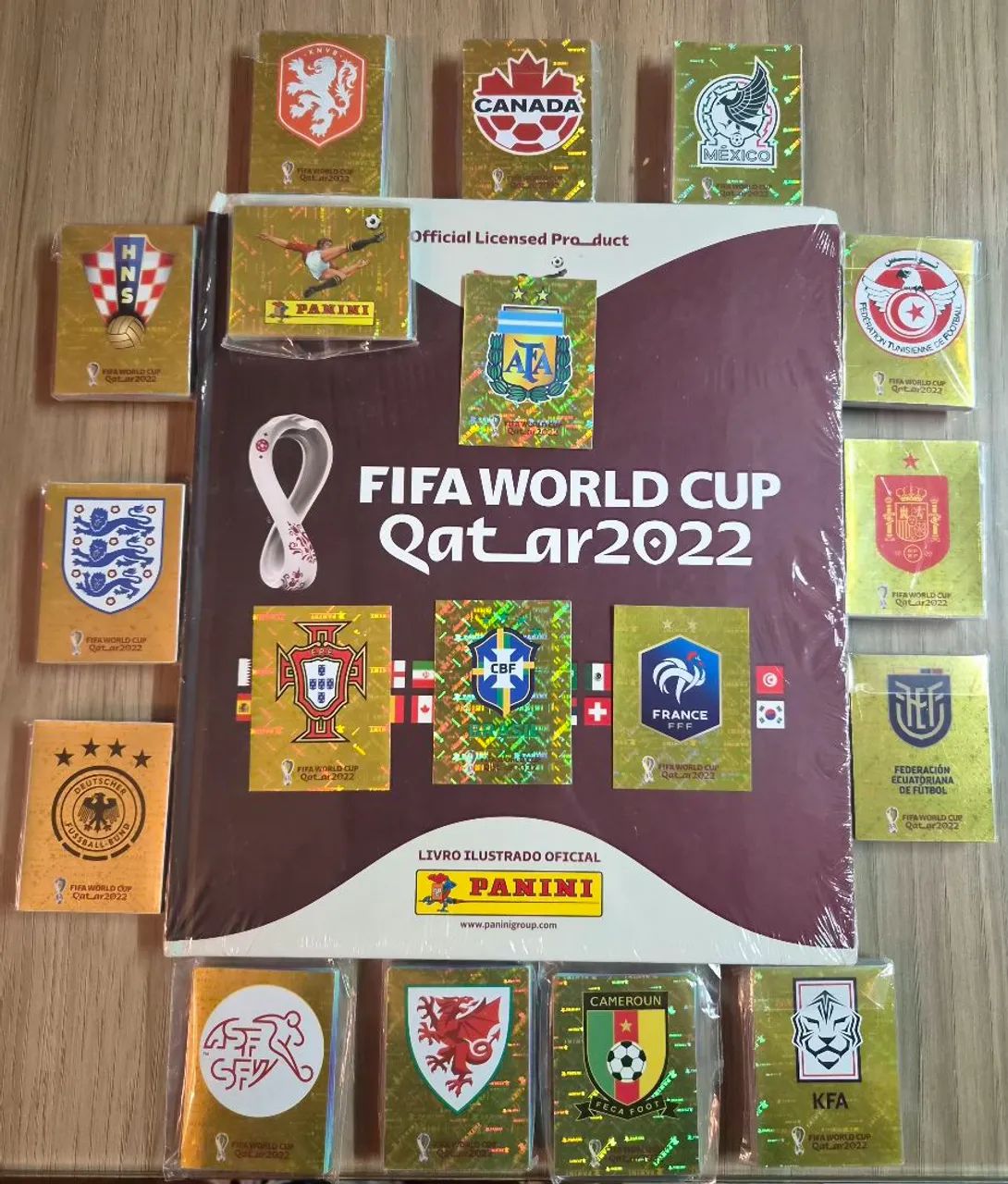 Escudos Copa 2022