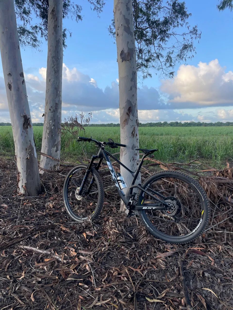 Bicicleta BXT Carbono 12v Shimano - estado de nova, pouco usada. - Foto 5