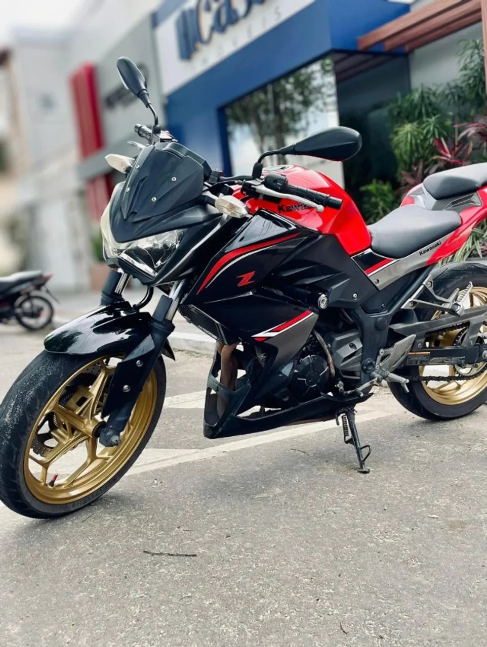 Kawasaki 300 2018 - 1489078931 | OLX