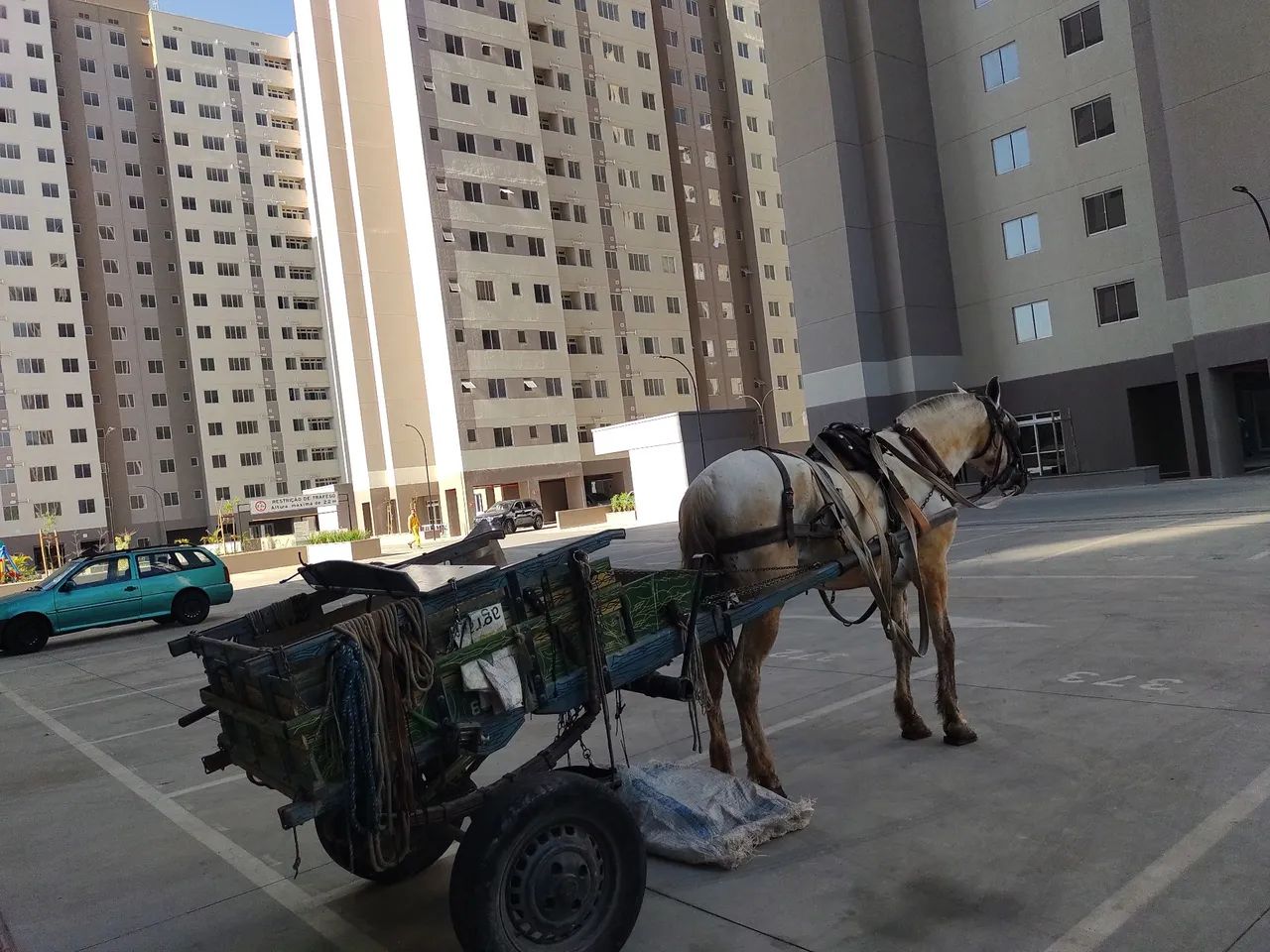 Carroceiro  - Foto 4