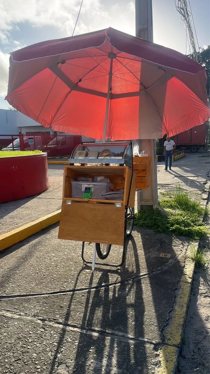 Bicicleta de carga  - Foto 2