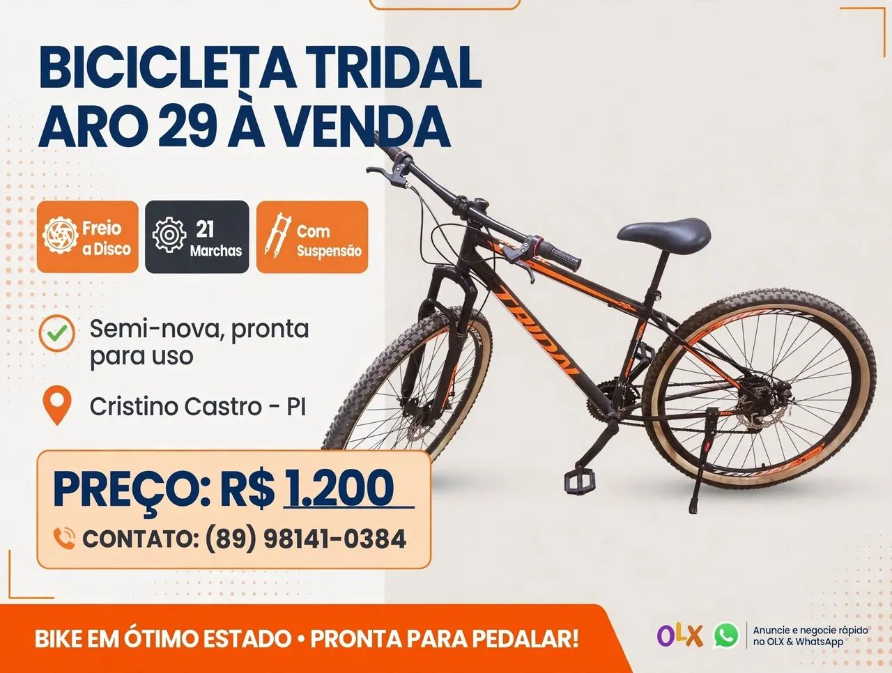 Bicicleta Tridal Aro 29 freio a disco 21 Marchas semi-nova