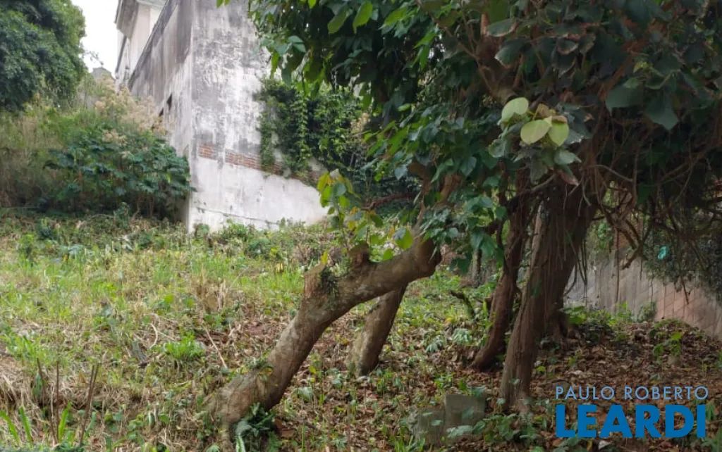 TERRENO - REAL PARQUE - SP - Foto 2