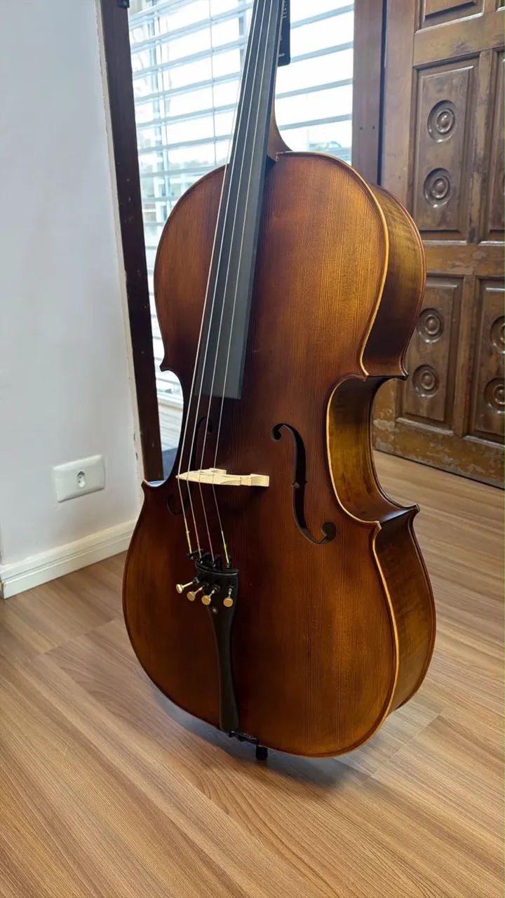 Violoncello Eagle CE 310  - Foto 2