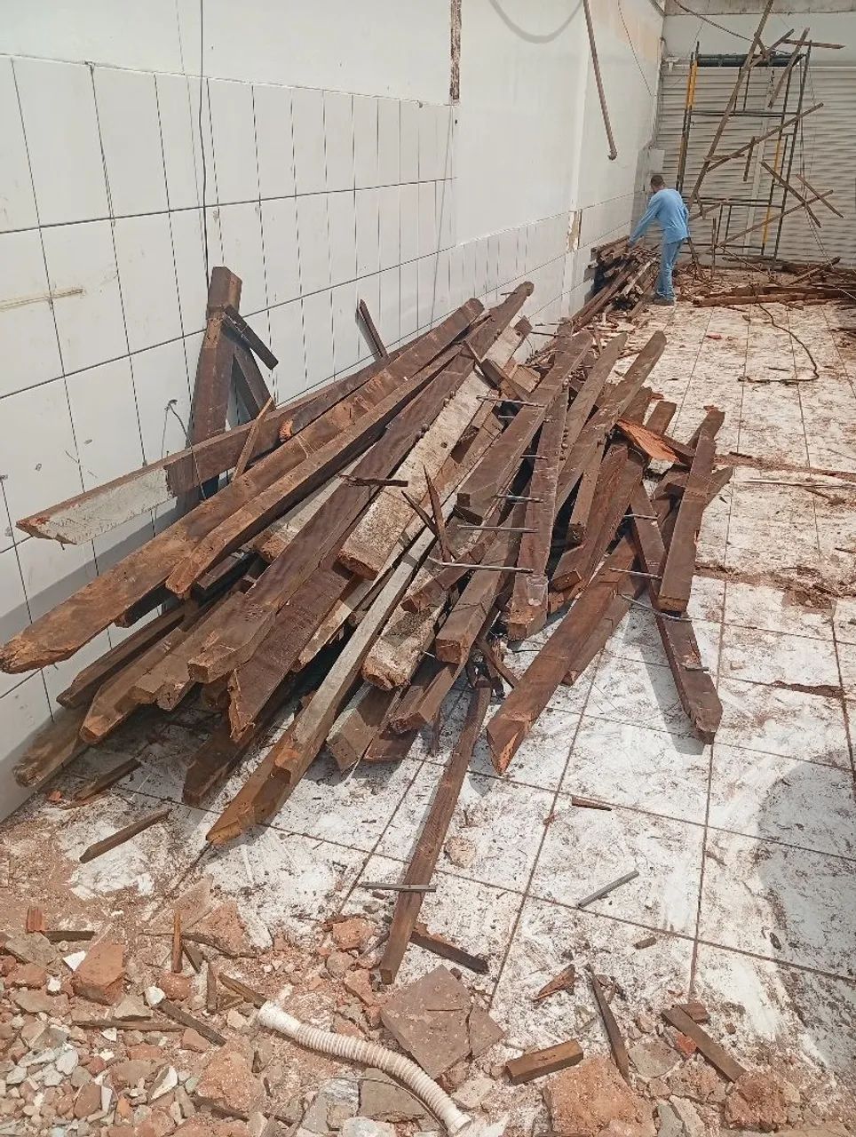 Madeiras - Foto 2