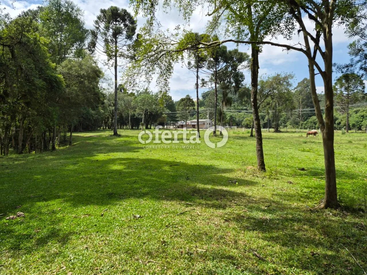 Chácara em Contenda - Foto 4