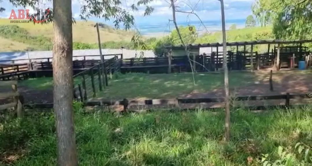 Fazenda para Venda em Centro Pimenta-MG - Foto 3