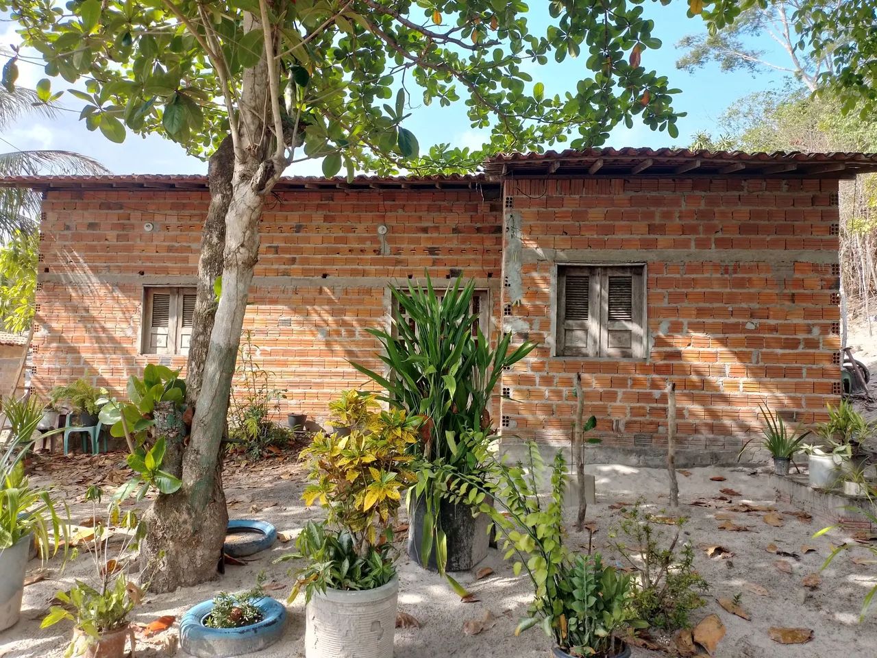 Vendo Casa - Foto 3