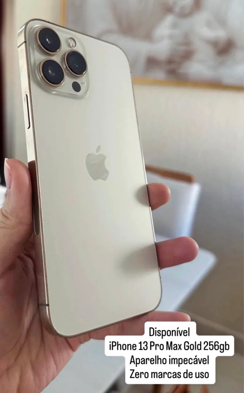 iPhone 13 Pro Max 256