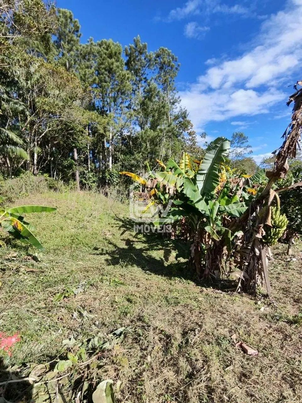 Terreno com Área Total de 810m² em Schroeder, SC - Foto 3