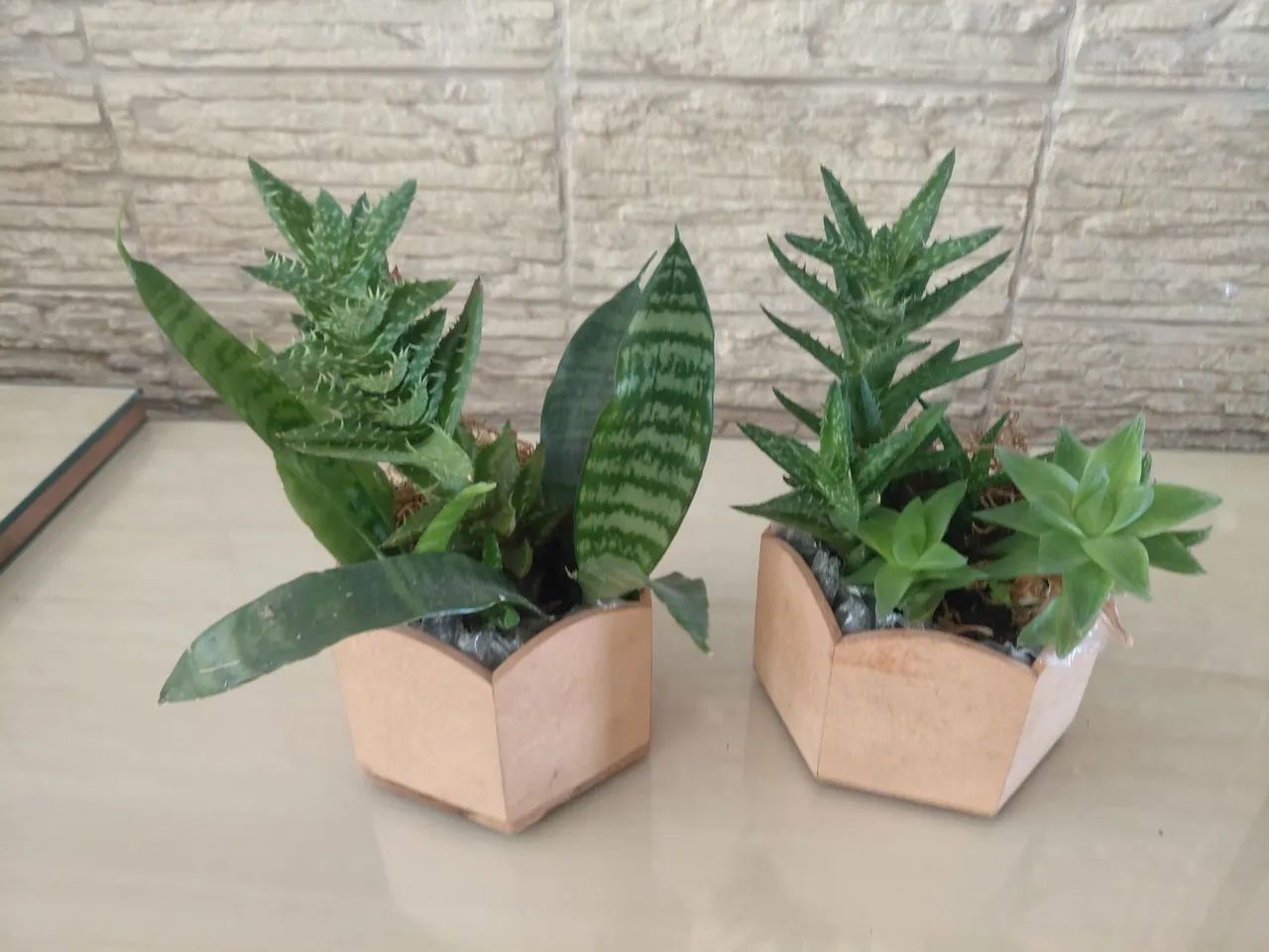 Jardinagem  - Foto 2