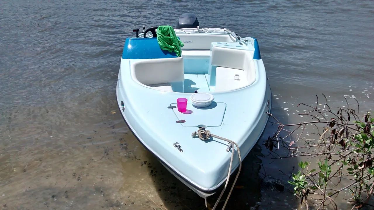 Lancha Diamar Electra 16
