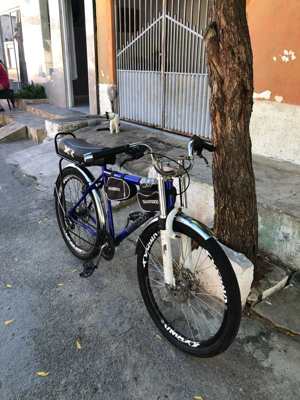 Montadinha  - Foto 3