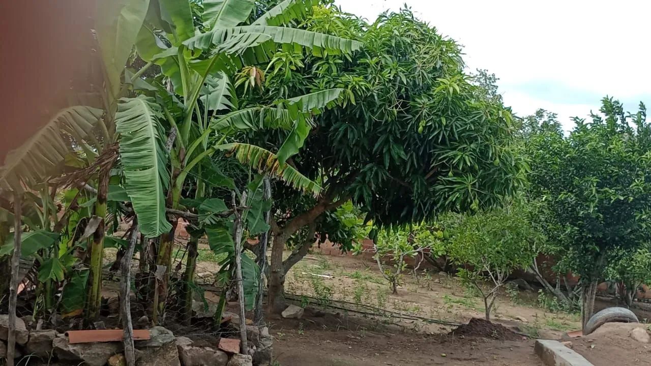 Sítio a Venda... - Foto 2