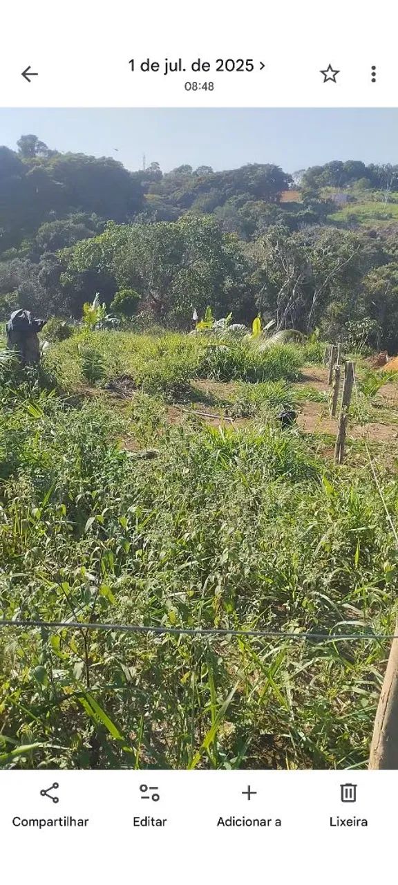 Terrenos a venda e negócios catiras - Foto 4