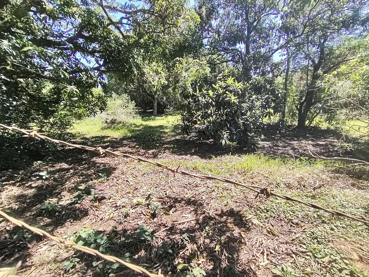 Terreno a venda condomínio Aquarius  - Foto 3