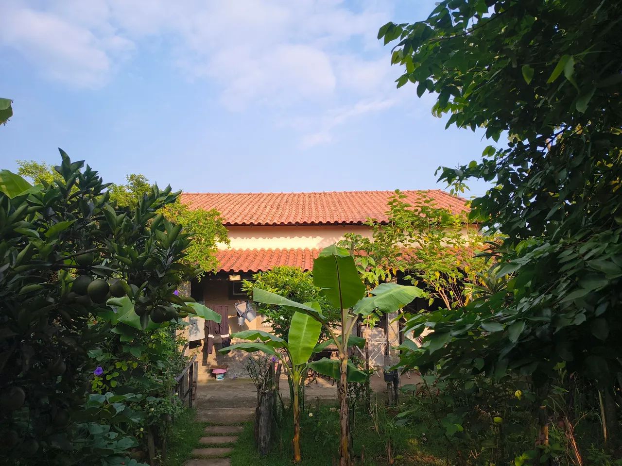 Casa com Mini Sitio  - Foto 5