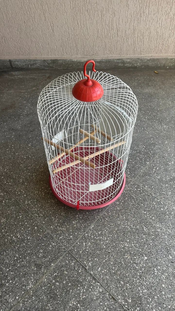 Gaiola piu piu