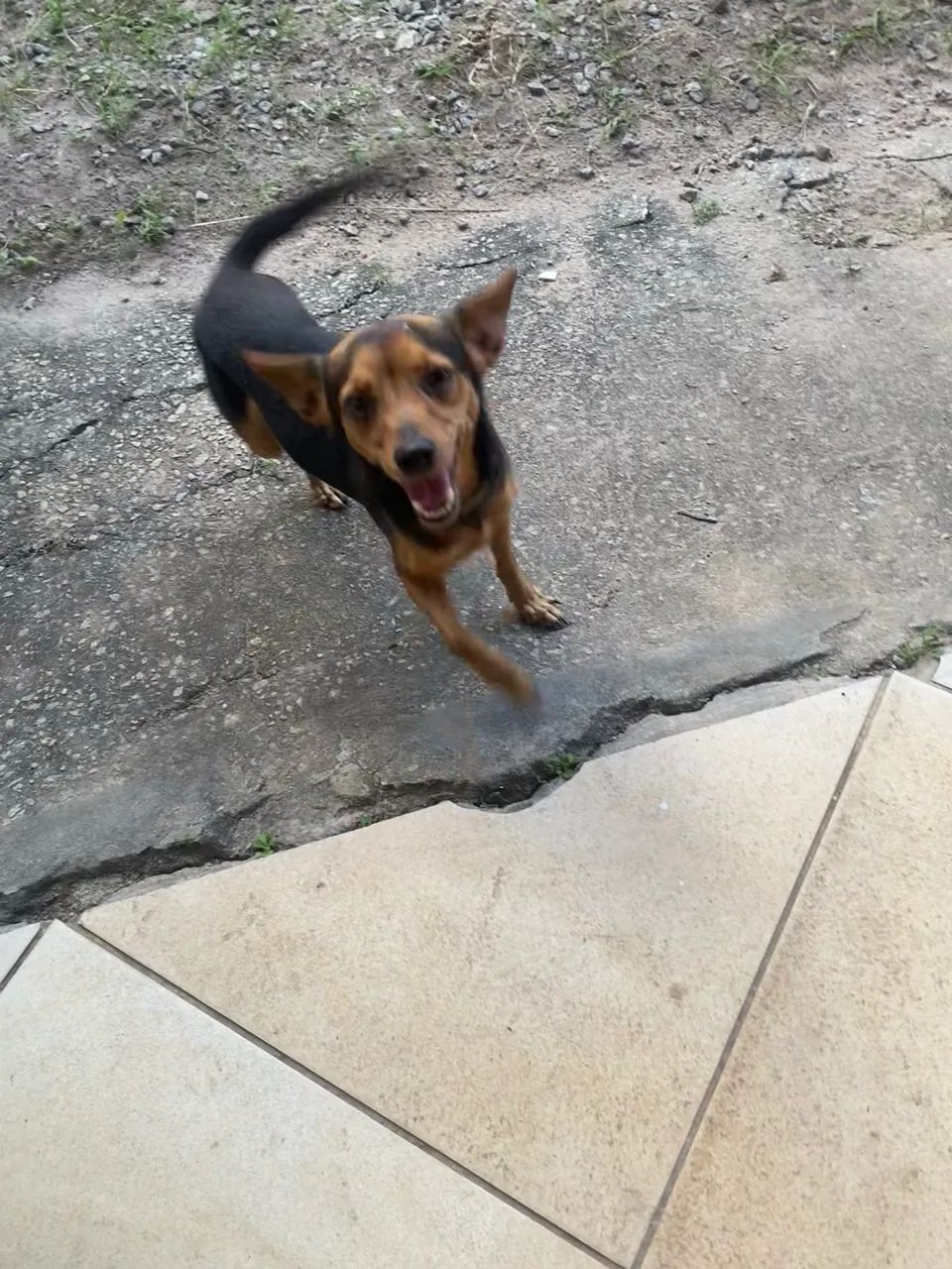 Doação 