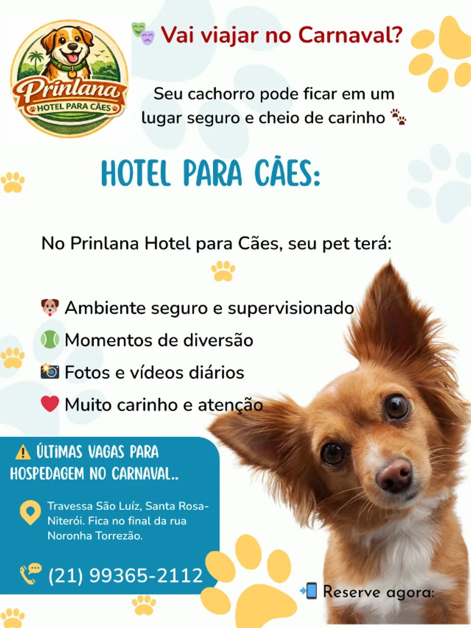 Hotel para Cães