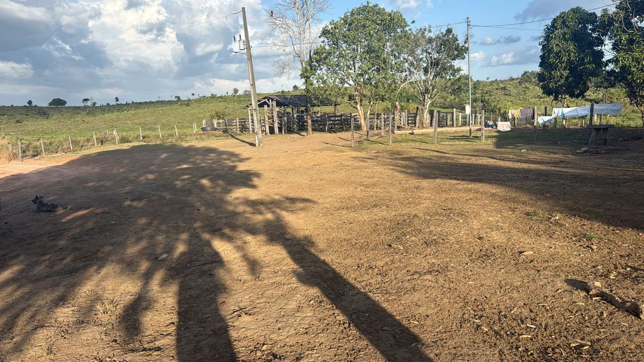 Fazenda 43 alqueire  - Foto 4