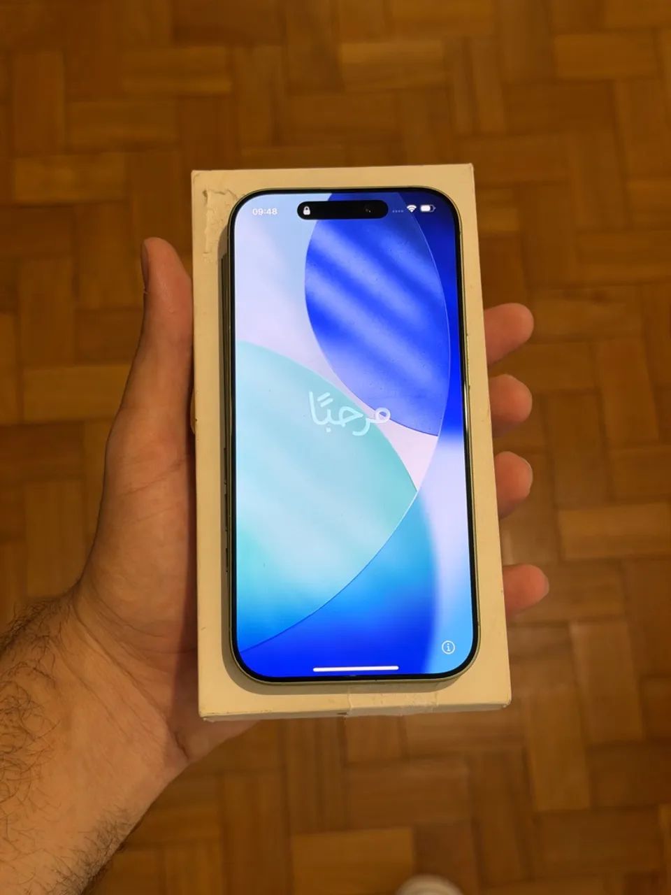 IPhone 17 verde seminovo
