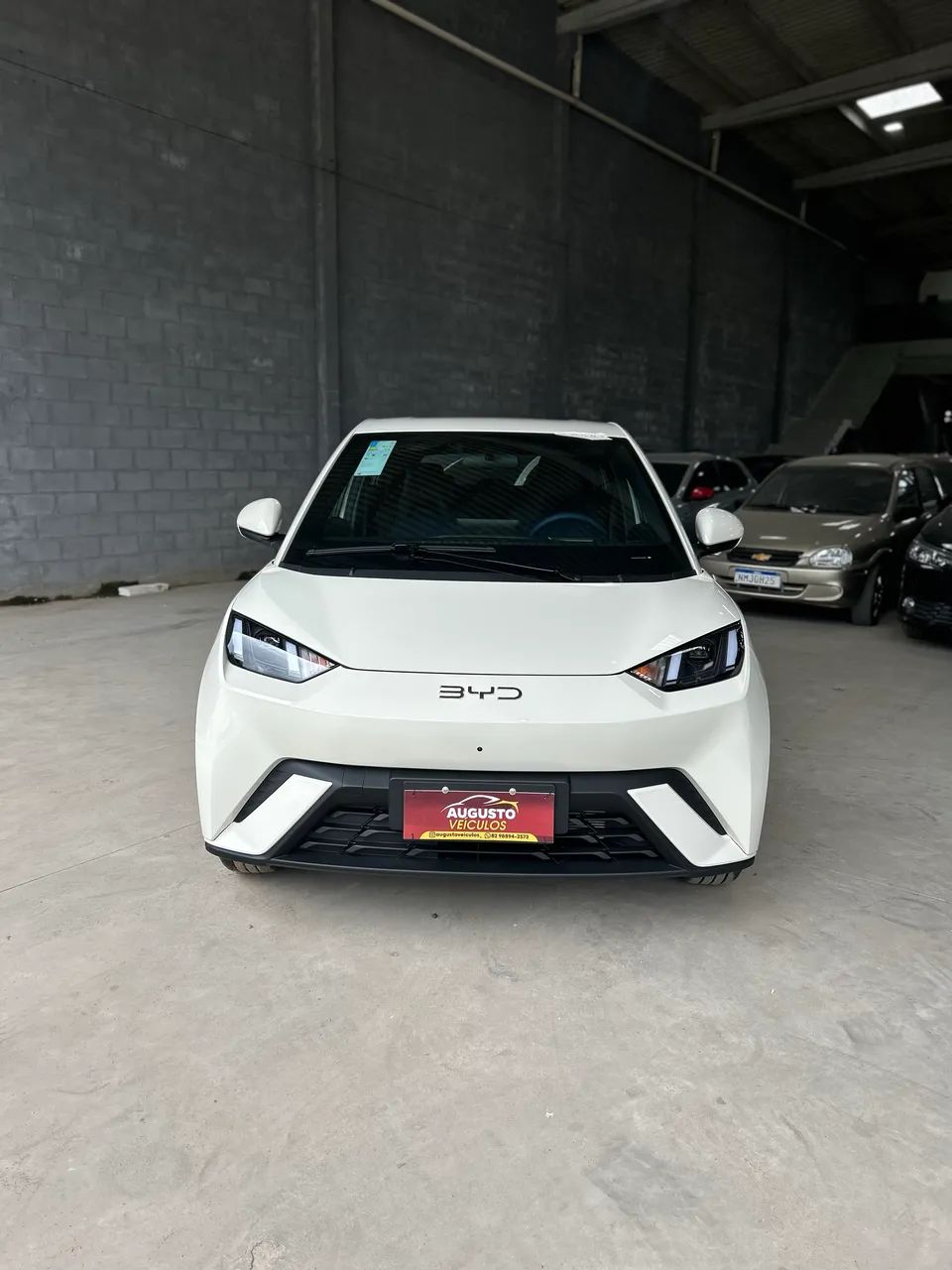 BYD Dolphin EV (Elétrico) 2027 - Foto 5