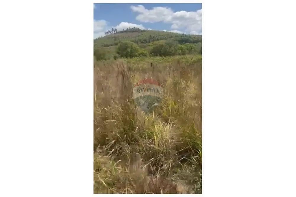 fazenda em Santa Rita de Bitpoca - Foto 2
