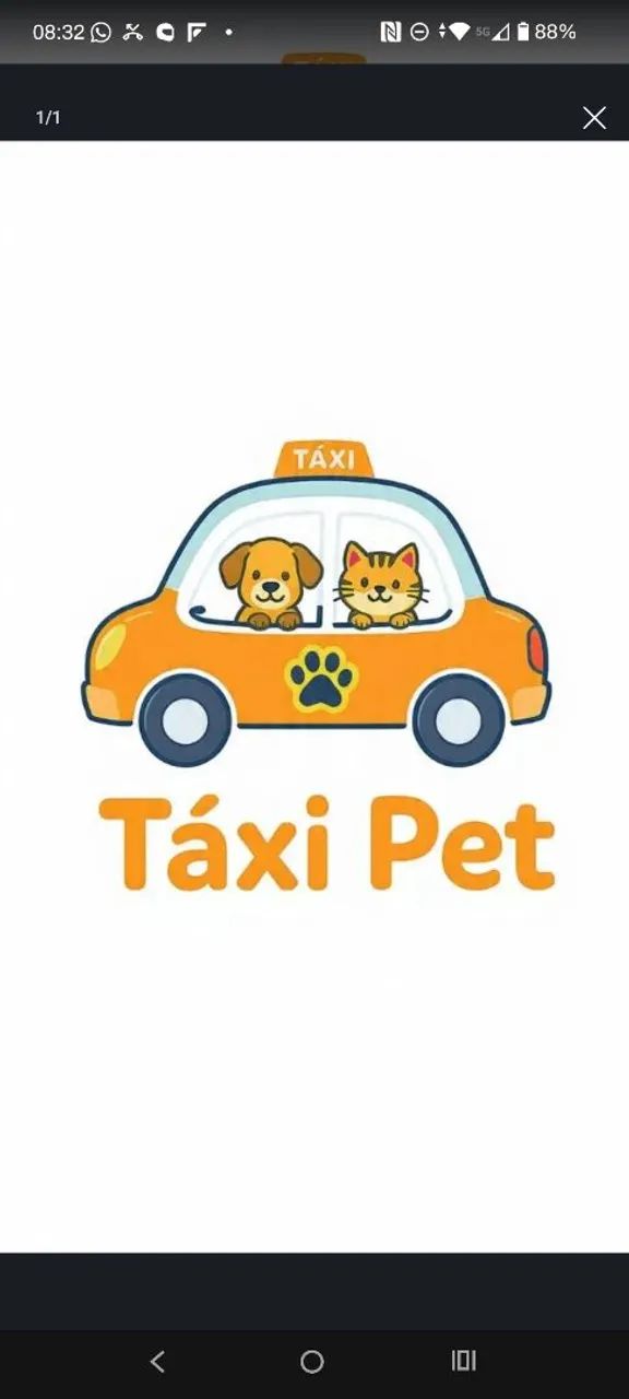 táxi pet 