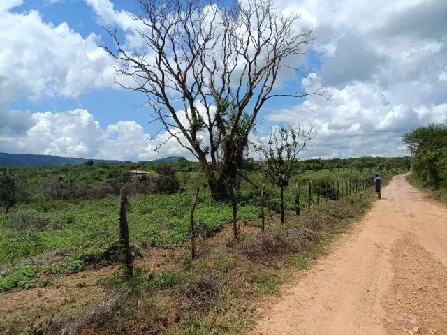 Excelentes Terrenos Bahia  - Foto 4
