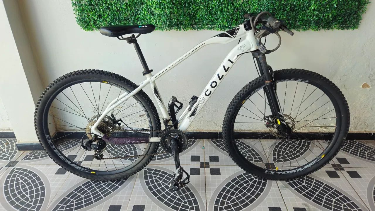 BIKE COLLI ARO 29