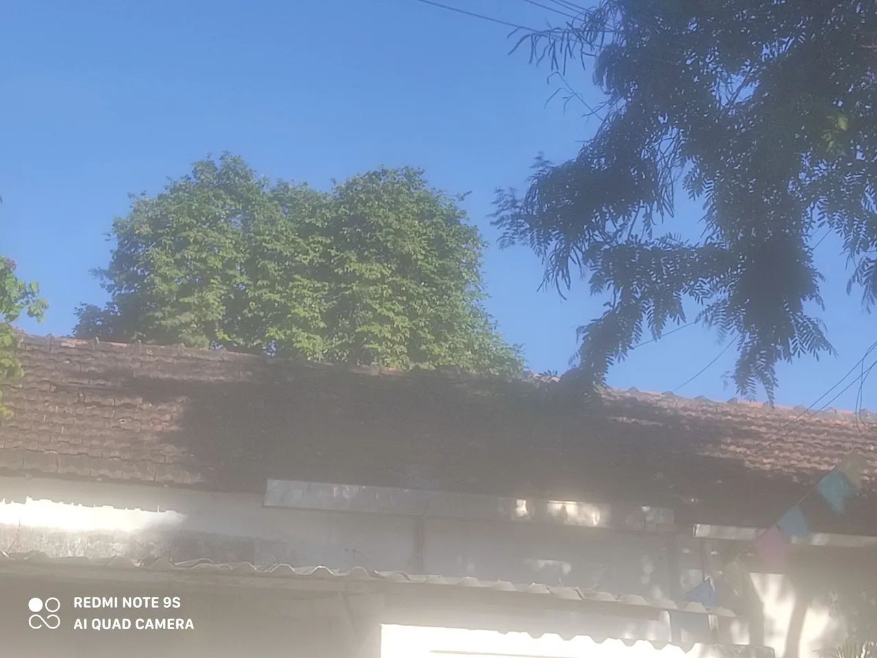 Doação de telhas inglesa - Foto 4