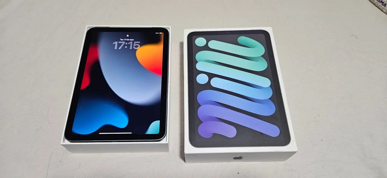 iPad Mini 6a Geração 256GB
