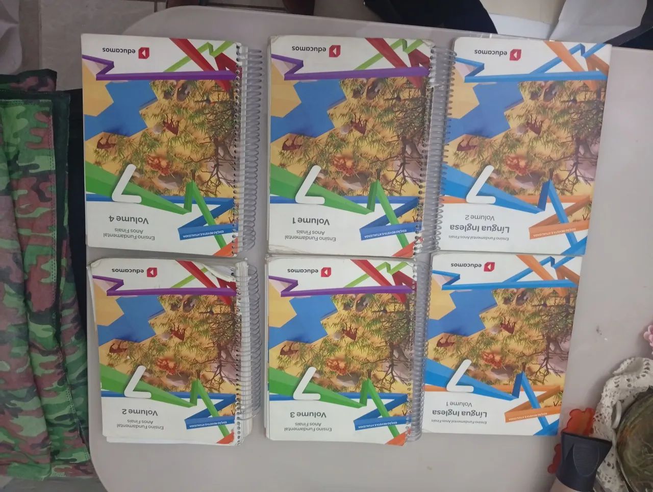 Livro 6 e 7 Ano 