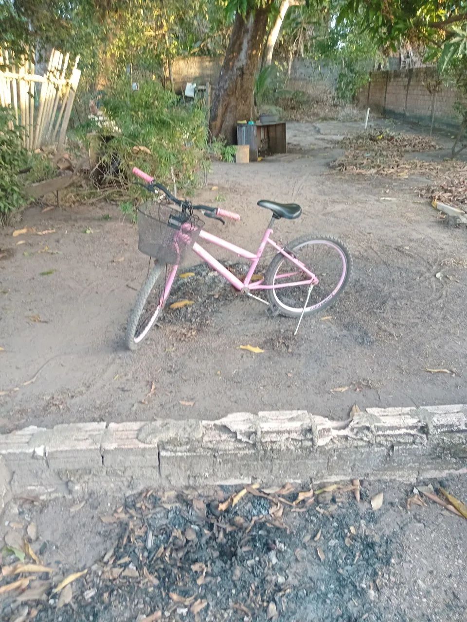 Novo bom  - Foto 2