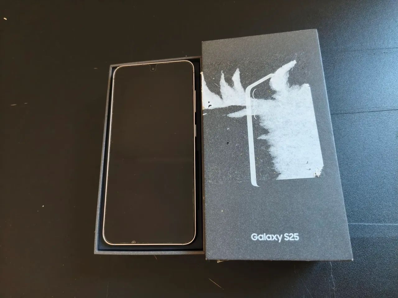 Samsung Galaxy S25