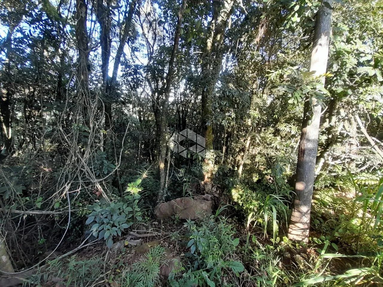 Terreno a venda - Foto 2