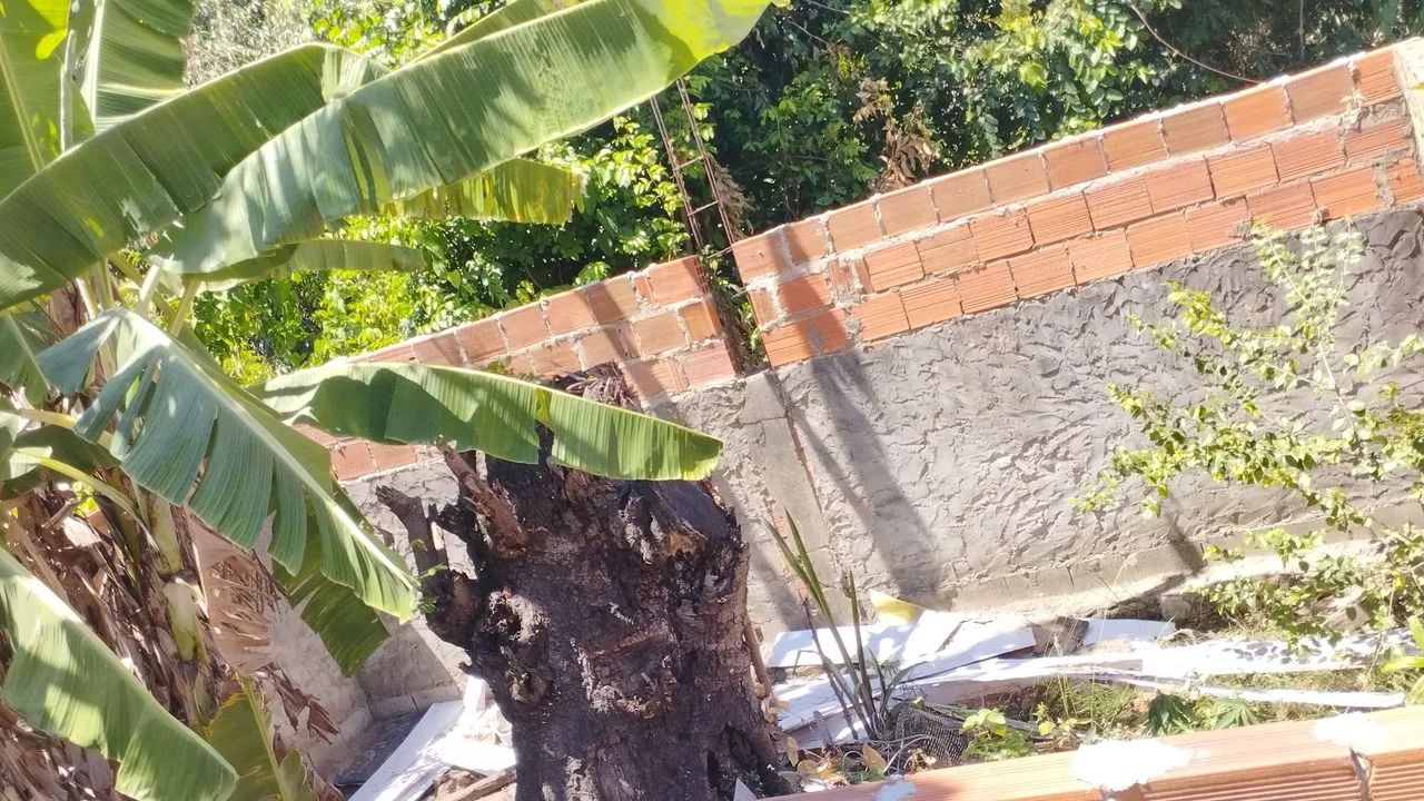 Casa - Foto 5