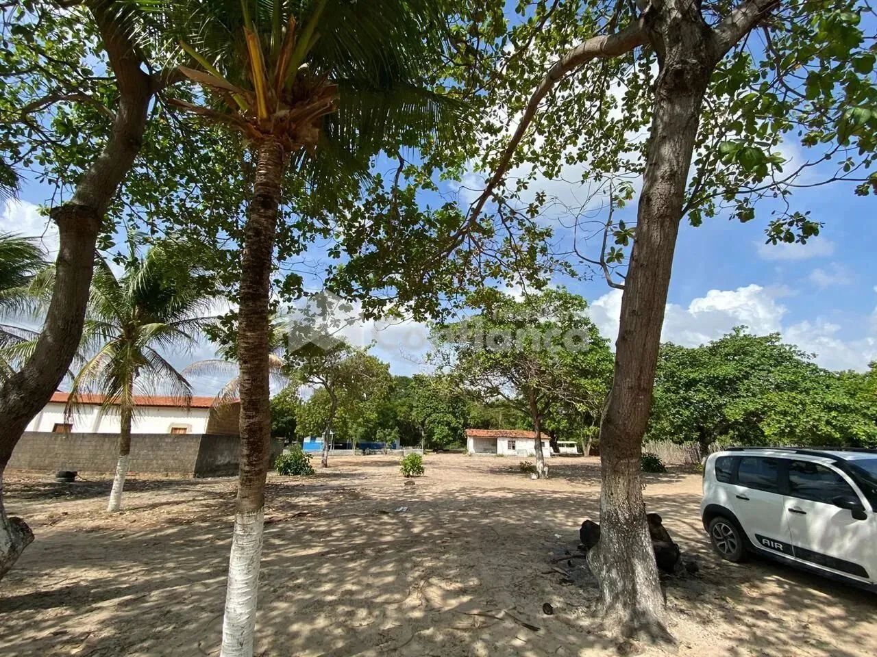 Sítio a Venda em São Gonçalo do Amarante/CE - Foto 4
